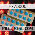 Fx75000 new08
